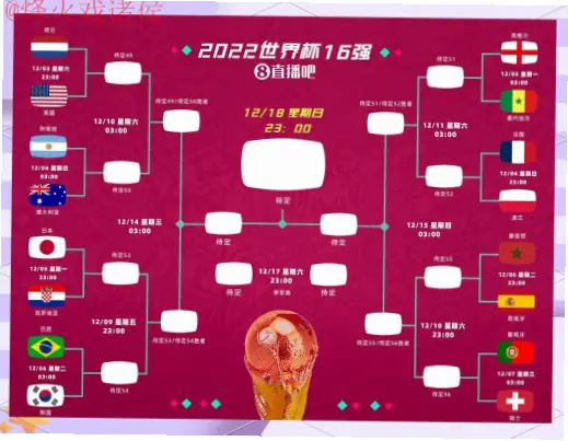 世界杯预测网站数据来源是否可靠?判断方法